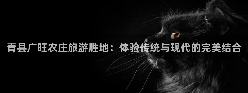 天辰娱乐平台安全吗