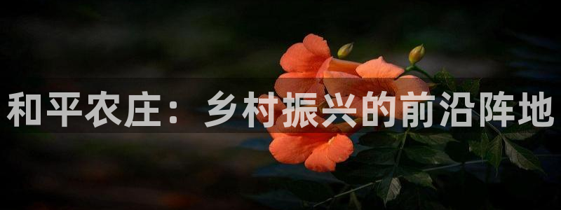 天辰宝宝娱乐