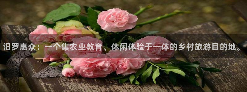 天辰娱乐84566