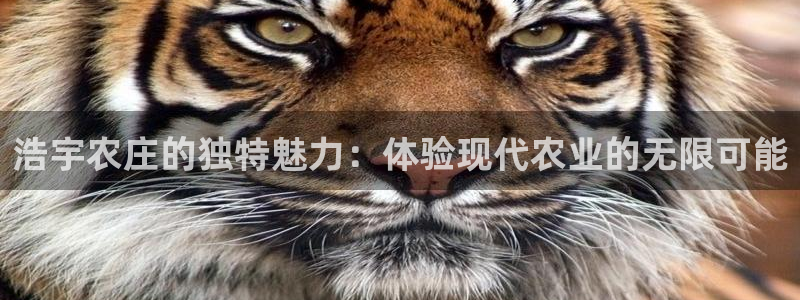 天辰娱乐指尖所