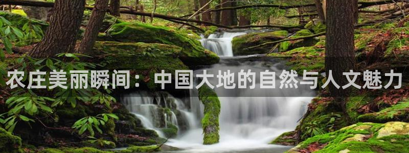 下载天辰娱乐
