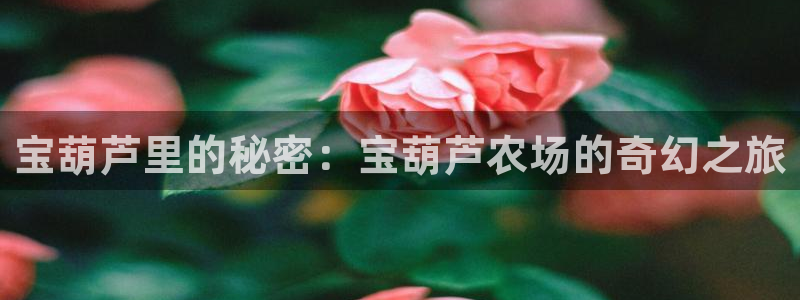 天辰娱乐53551