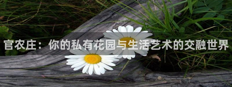 天辰娱乐登陆