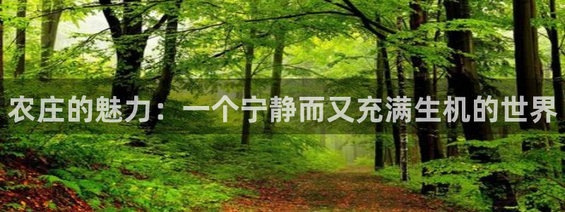 天辰娱乐 qq