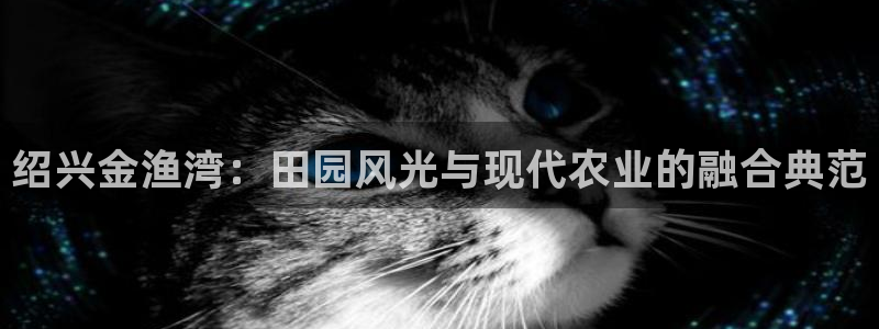 天辰娱乐说