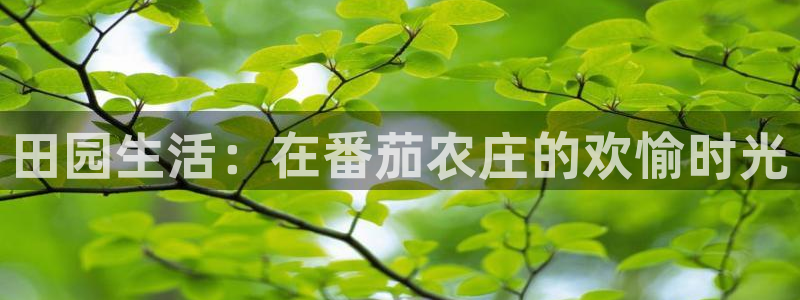 天辰说娱乐