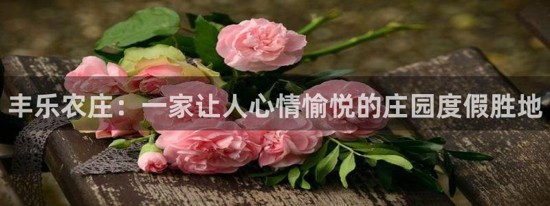 天辰娱乐网址娱乐游戏