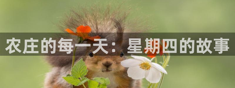 天辰宝娱乐