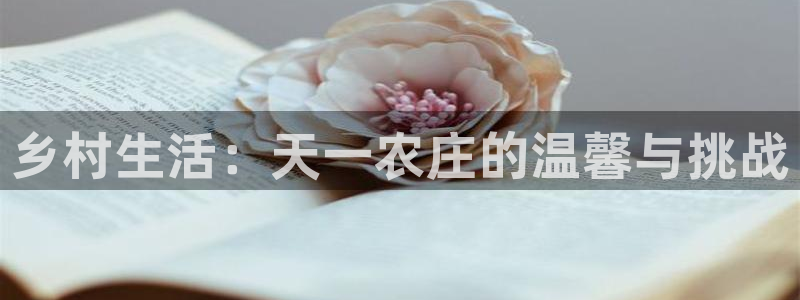 天辰娱乐39974神