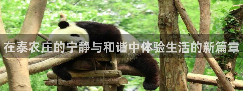 天辰娱乐 231639