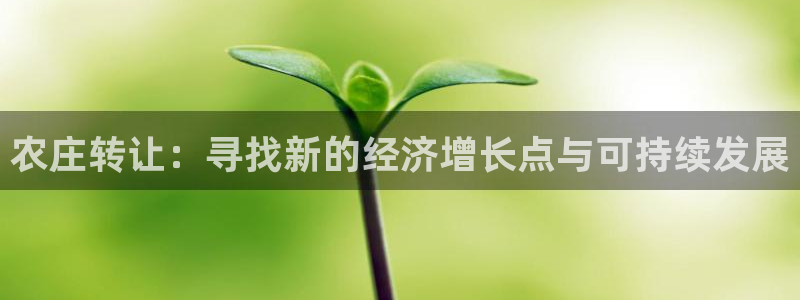 天辰娱乐开户