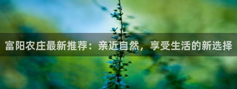 天辰娱乐官网平台下载