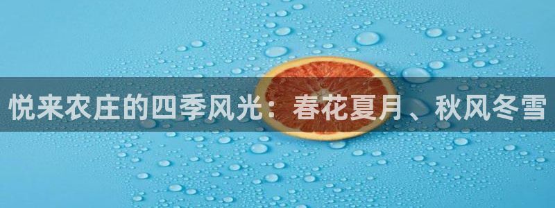 天辰娱乐招商