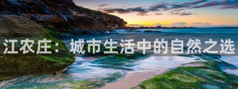 天辰娱乐tff