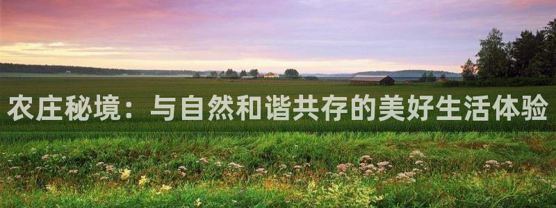 天辰娱乐728567