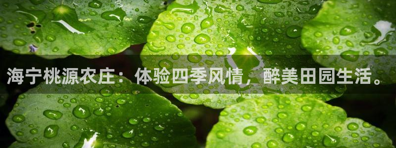 天辰娱乐集团