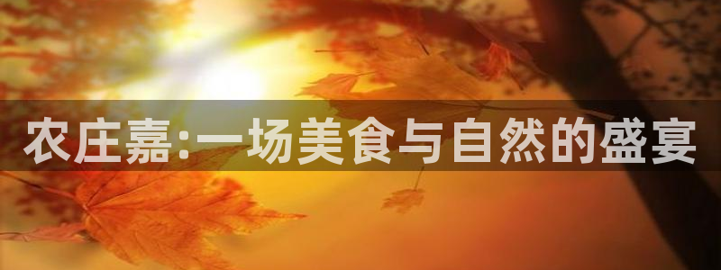 天辰娱乐平台地址