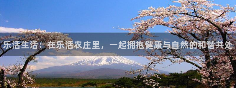 nba天辰娱乐
