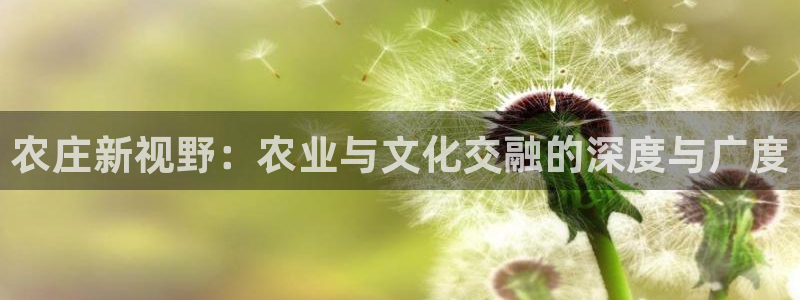 天辰娱乐链接