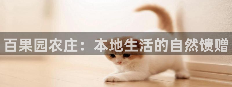天富天辰娱乐