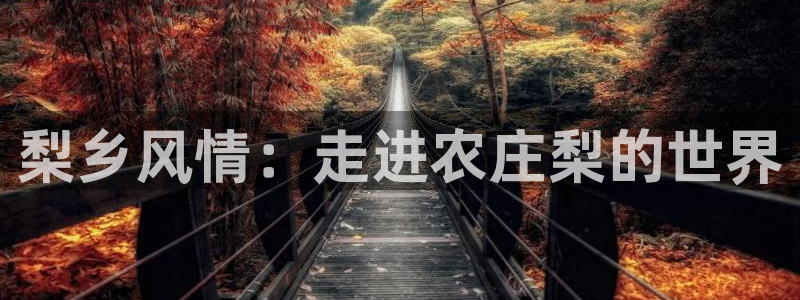 nba天辰娱乐