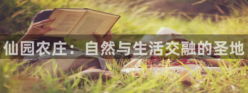 天辰娱乐平台app下载