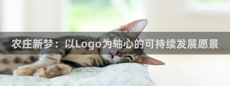 天辰娱乐服务