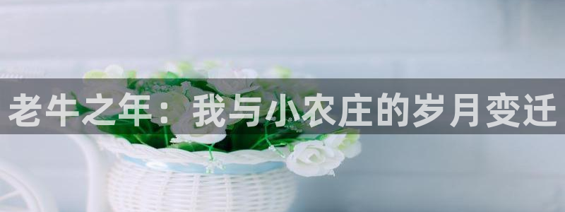 天辰娱乐鱼刺