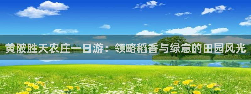 天辰娱乐官