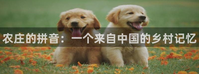天辰娱乐平台安全吗