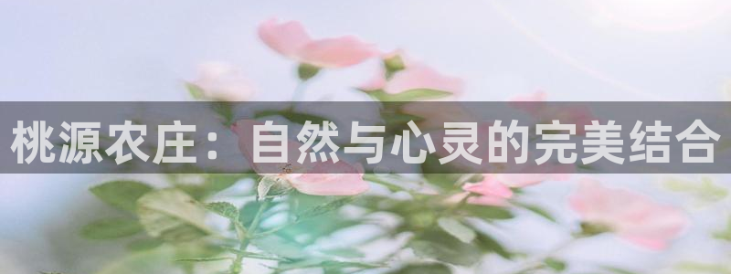 天辰娱乐官方登录入口