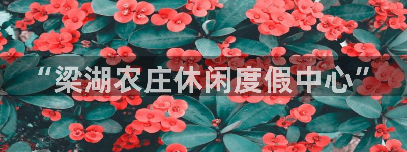 天辰娱乐测速