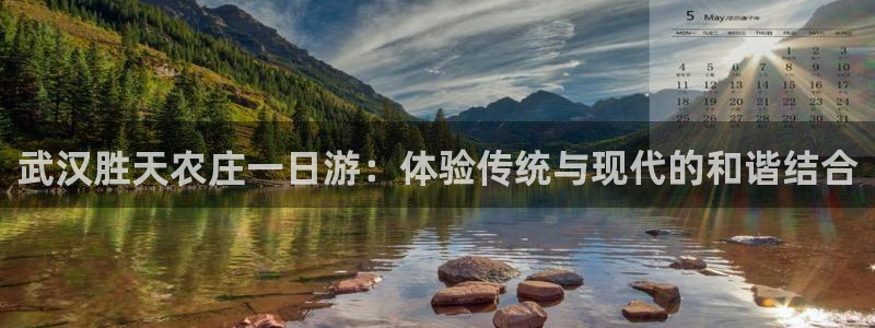 天辰娱乐元宝