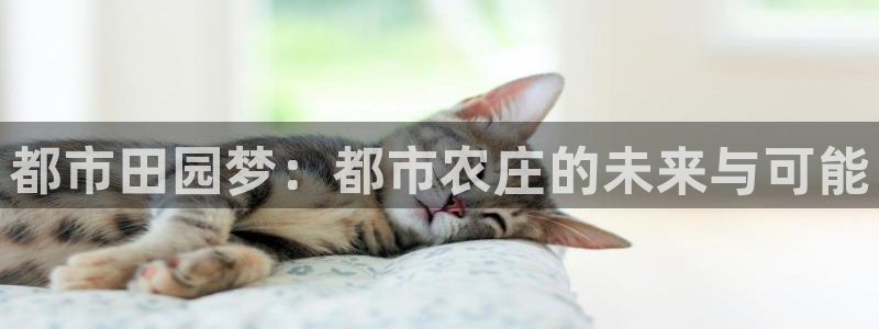 天辰娱乐APP下载
