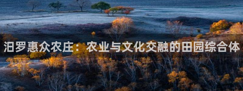 天辰娱乐直属