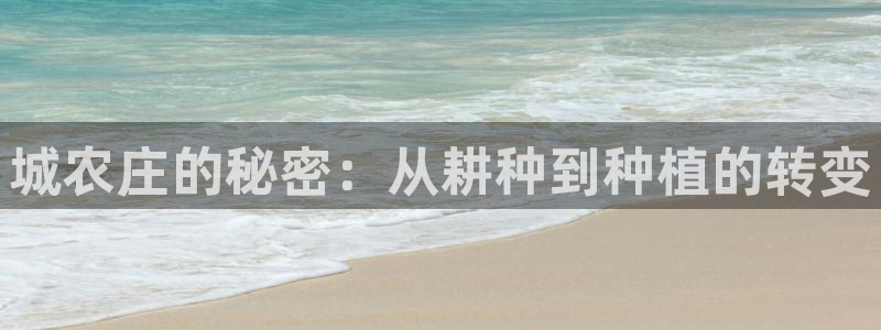 天辰娱乐675138