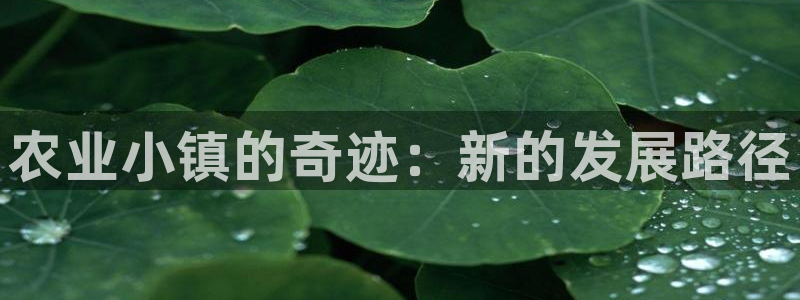 天辰娱乐的网址首页