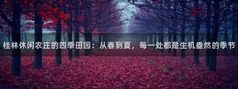 天辰娱乐官方登录入口