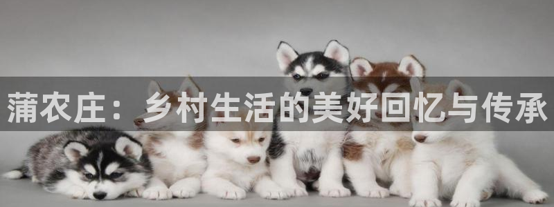 天辰娱乐解封