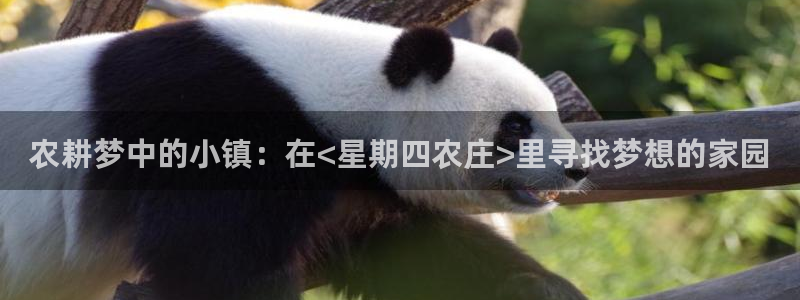 娱乐ktv天辰