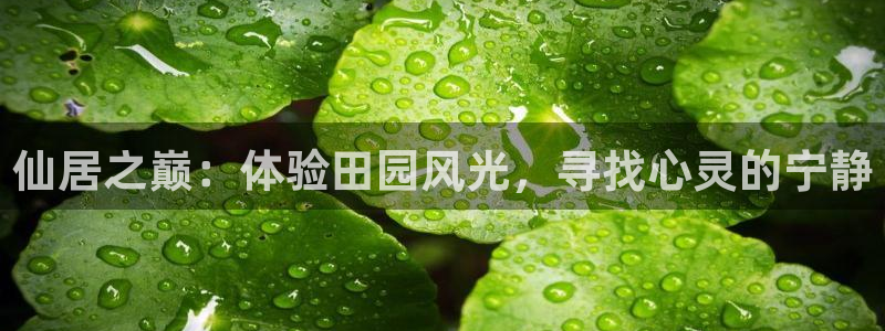天辰娱乐557448