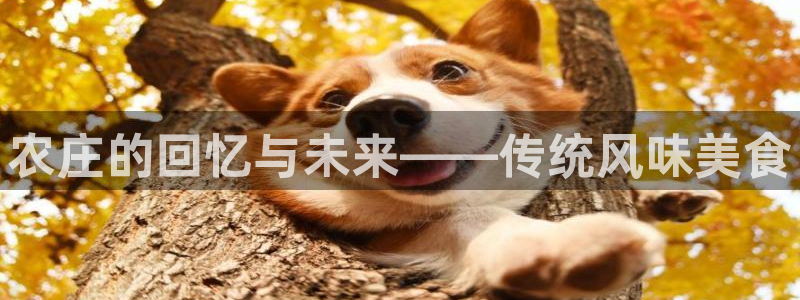 天辰娱乐文案