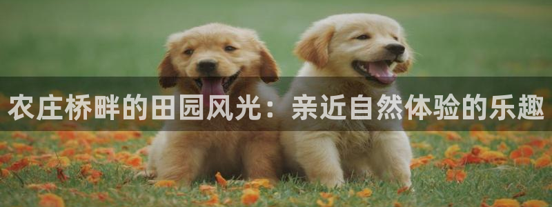 天辰娱乐黑人