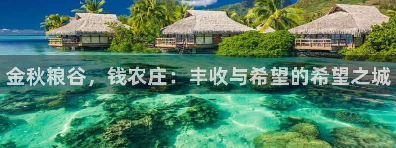 天辰娱乐主管
