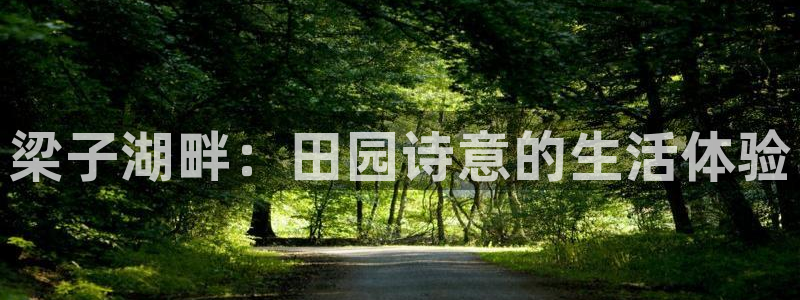 天辰天富娱乐登录