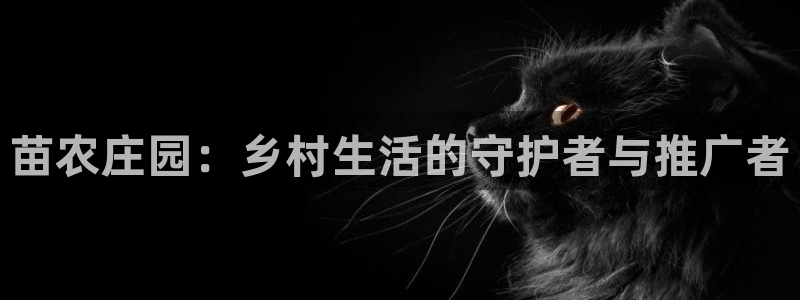 天辰娱乐