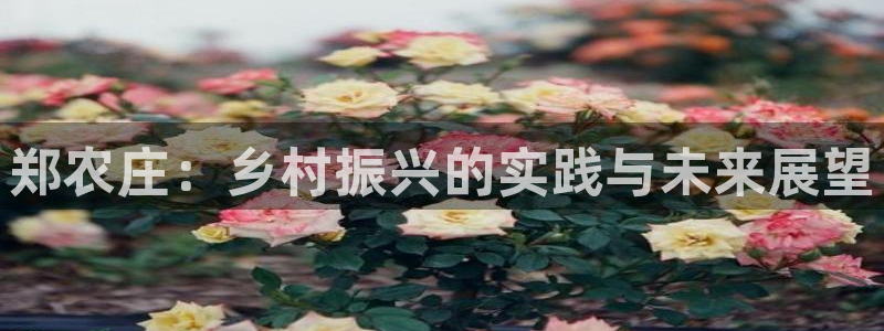 菲律宾天辰娱乐