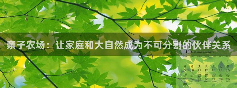 辰天娱乐用品