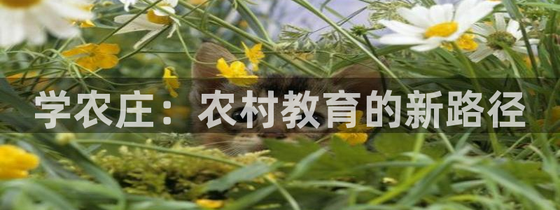 天辰国际娱乐