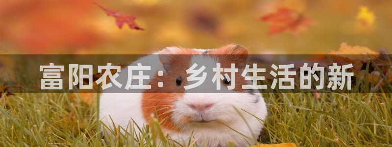 天辰娱乐平台注册